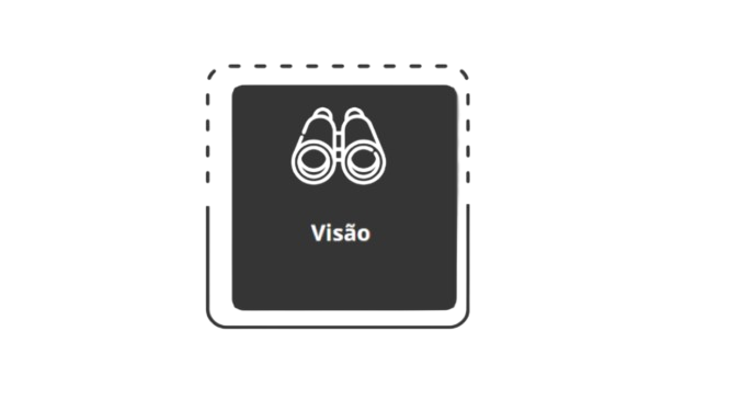 Visão